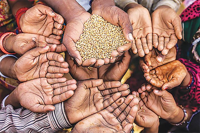 Your Corporation Can Help Fight World Hunger